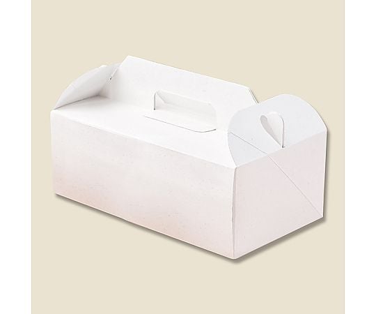 HEIKO エコパームボックス キャリーL 20枚