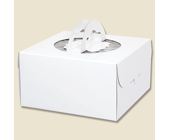 HEIKO 箱 手提げデコホワイト6寸 10枚