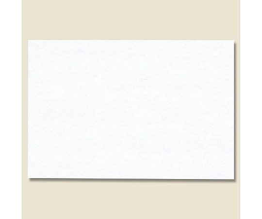 和風テーブルマット 白藤 100枚