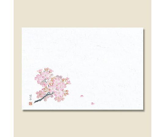 和風テーブルマット 輝シリーズ 8 桜 100枚