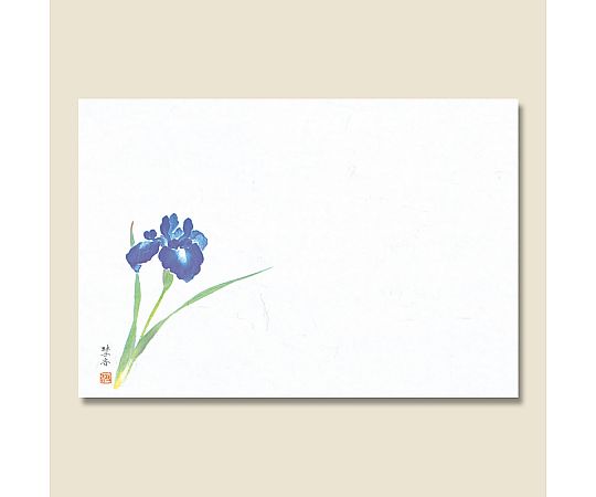 和風テーブルマット 輝シリーズ 10 あやめ 100枚