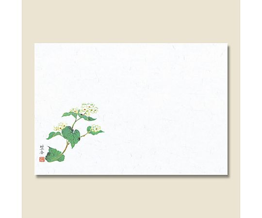 和風テーブルマット 輝シリーズ 28 蕎麦(そば) 100枚