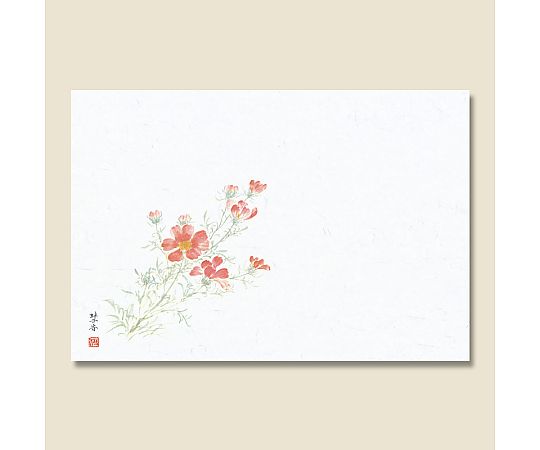 和風テーブルマット 輝シリーズ 17 秋桜(コスモス) 100枚