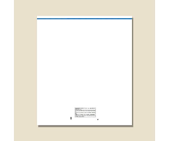 免税対応袋 免税店用CPP透明袋 L 50枚