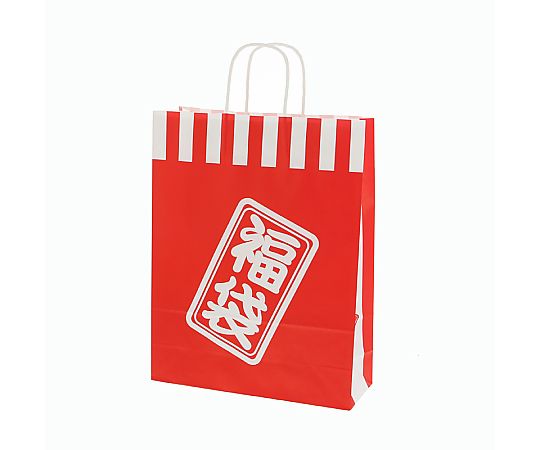 HEIKO 紙袋 福袋 25チャームバッグ 25CB 2才 紅白 50枚