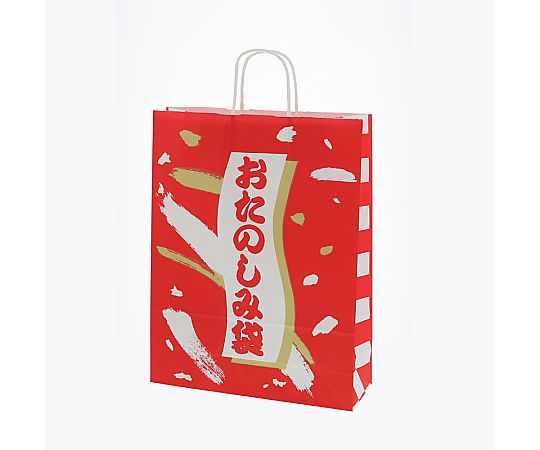 HEIKO 紙袋 福袋 25チャームバッグ 25CB 2才 おたのしみ袋A 50枚