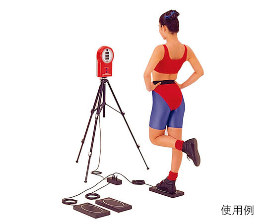 小物 aaa SF扇20 京うたげ本体 | 製品詳細 | シーピー化成株式会社