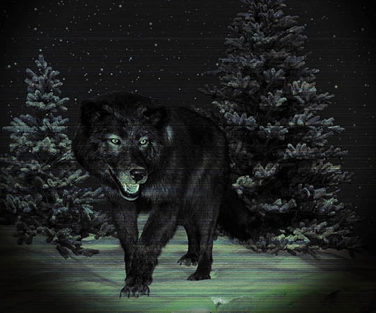 取扱を終了した商品です 暗視スコープ スーパーナイトコンパクト 100ndx 62 1617 Axel アズワン