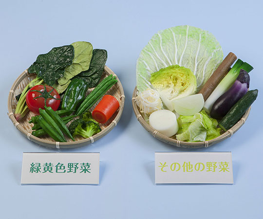野菜1日350g指導フードモデル IGF-004