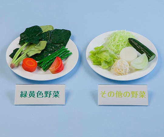 野菜350g分例示フードモデル IGF-005