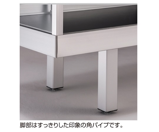 平ケース ステージ付き ホワイト D45cm W120cm 引戸後　61-107-3-4