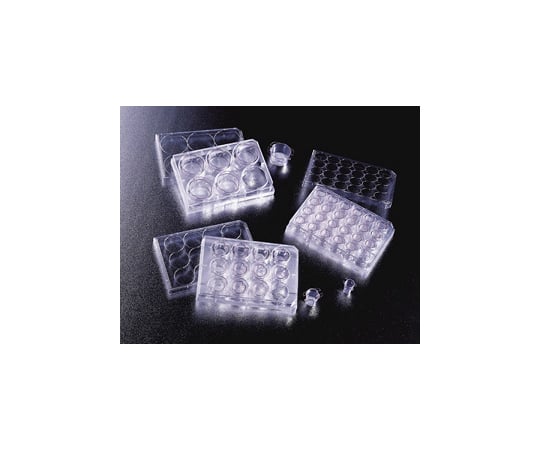 HTSマルチウェルインサート 96ウェル 1μm 5個/パック×1パック