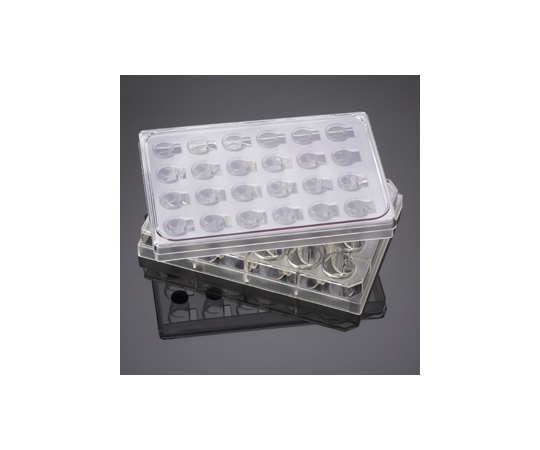 フルオロブロック マルチウェルインサート 24ウェル 8μm 24ウェルプレート付き