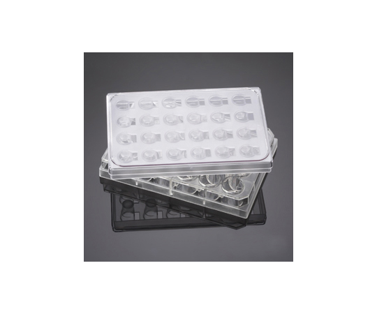 HTSマルチウェルインサート 24ウェル 3μm 5個/パック×1パック