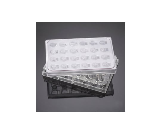 HTSマルチウェルインサート 24ウェル 8μm 5個/パック×1パック