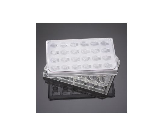 アンジオジェネシス血管内皮細胞遊走アッセイシステム 3μm/24ウェル -20℃ 1個/パック×5パック