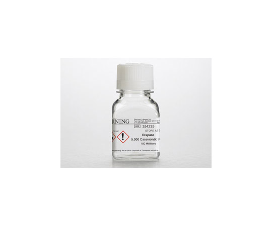 ディスパーゼ 100mL -20℃
