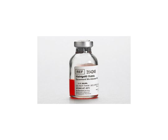 高濃度マトリゲル 10mL -20℃