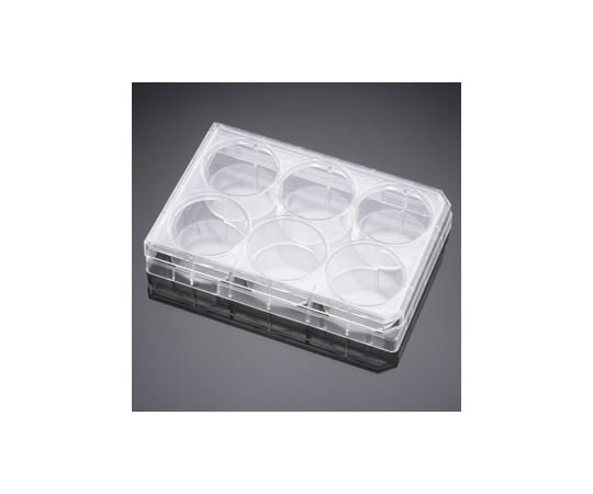 BioCoat コラーゲンIV マルチウェルプレート 6ウェル 2～8℃ 1ケース（5個×1パック入）