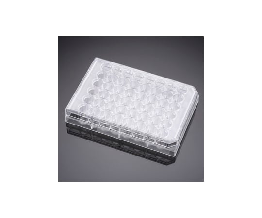 BioCoat ポリ-D-リシン マルチウェルプレート 48ウェル 5個/パック×1パック