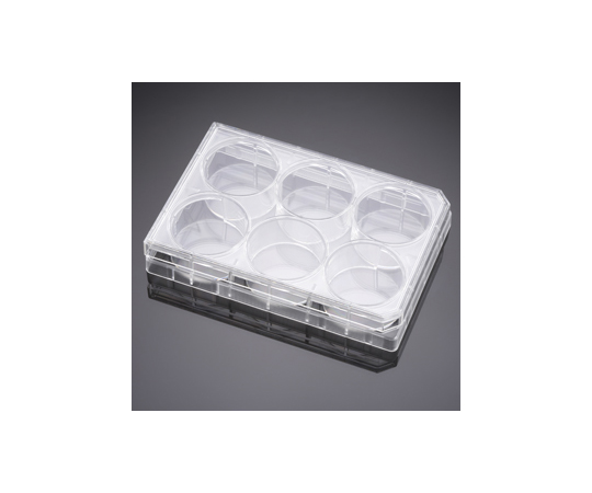 ヒトES細胞用マトリゲルコート 6ウェルプレート -20℃ 1ケース（5個×1パック入）