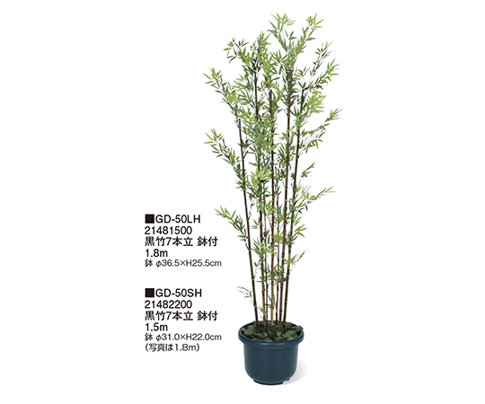 62 2356 08 黒竹7本立鉢付1 8mgd 50lh Axel アズワン 62 2356 08 黒竹7本立鉢付1 8mgd 50lh Axel アズワン