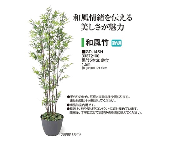 黒竹5本立鉢付 タカショー Axel アズワン 黒竹5本立鉢付 タカショー Axel アズワン