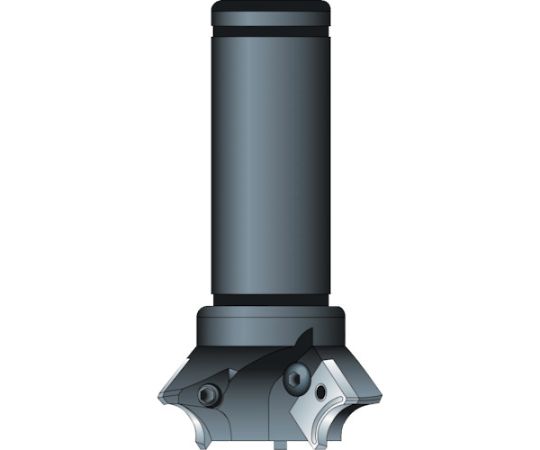 Rヌーボー　シャンクφ32