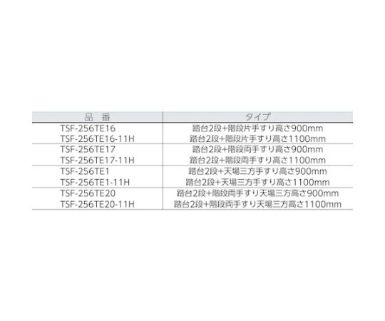 取扱を終了した商品です］踏台 2段本体 階段両手すり天場三方1100 TSF