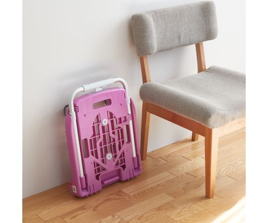 樹脂台車 カルティオミニ weego オリーブ