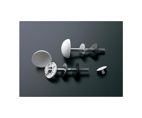 化粧キャップ付ボルト(ｱｲﾎﾞﾘｰ/2本)