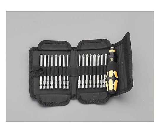 [+ - Hex Bore Torx]ﾄﾞﾗｲﾊﾞｰﾋﾞｯﾄｾｯﾄ(ESD)