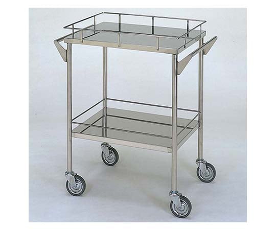 ステンレスワゴン 回診車L (枠付) 2段