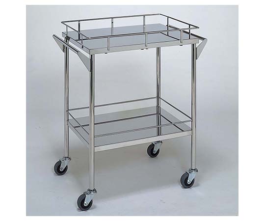 ステンレスワゴン 回診車 (静音仕様 枠付) 2段 600×450×800mm