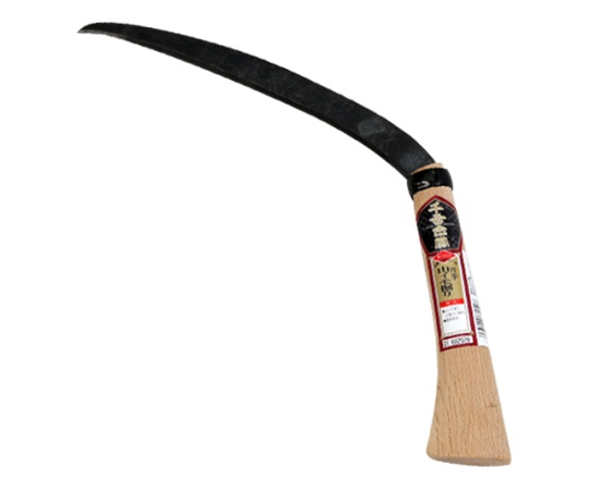 千吉金賞　片手山イモ堀り