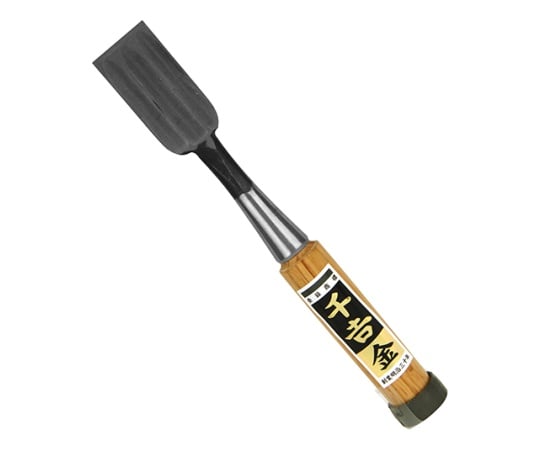 千吉 金 追入のみ 3枚裏