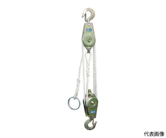 ロープホイスト　250kg　揚程3m