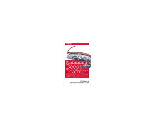 Fundamentals of Deep Learning