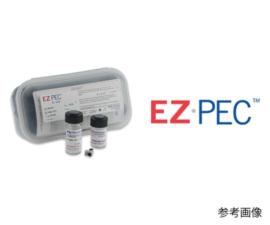 62-3847-57 標準菌株（EZ-PEC） Candida albicans derived from ATCC