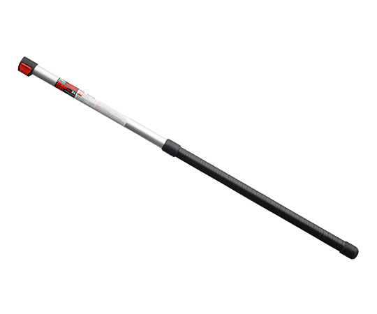 ズバット2段ポール12 大