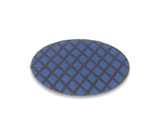 ダイヤスカットディスク 25mm 粒度R1500