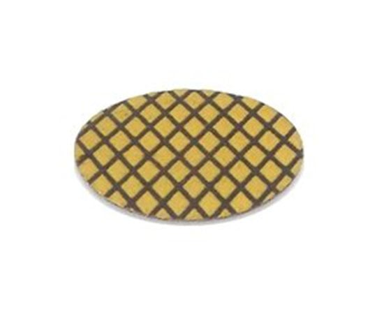 ダイヤスカットディスク 25mm 粒度R3000