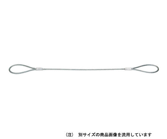台付ワイヤー ハダカ仕様
