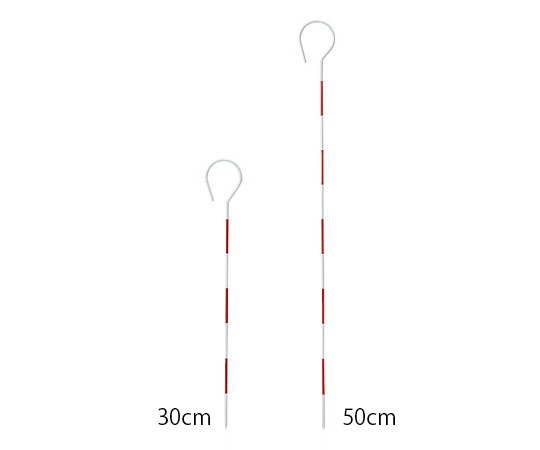 ハイビスカス トラバーピン 50cm