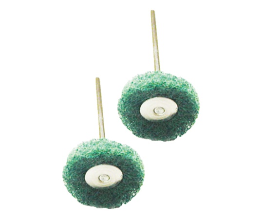 ナイロンブラシ φ22mm(2本入)