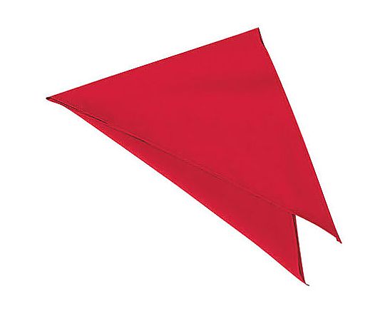 三角巾 ホットチリ EA-5355