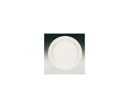ブライトーンBR700（ホワイト） ディナー皿 27cm RDI17