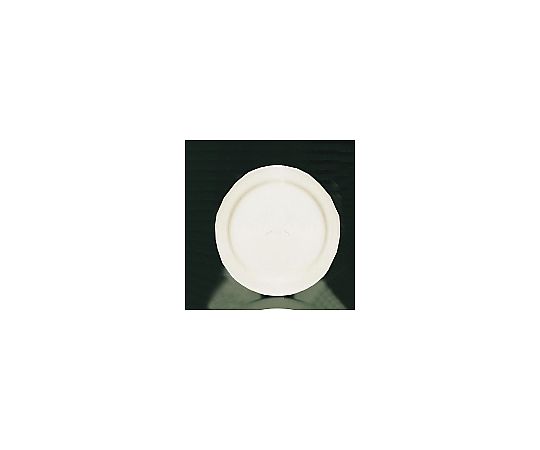 ブライトーンBR700（ホワイト） ディナー皿 25cm RDI18