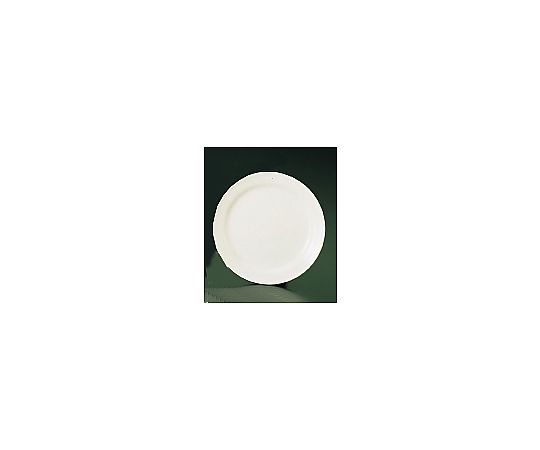 ブライトーンBR700（ホワイト） デザート皿 21cm RDZ09