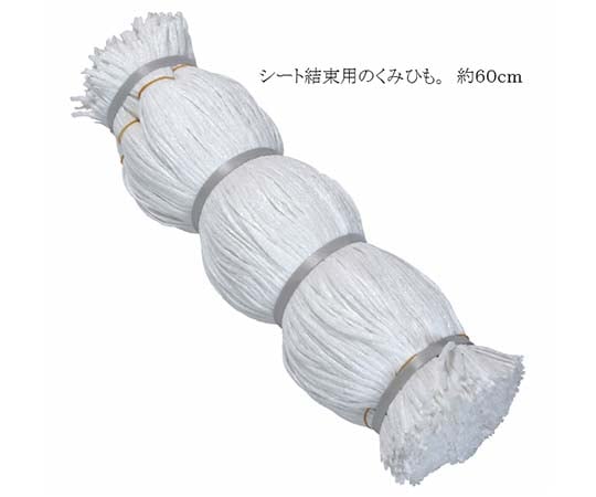 シート紐 白 60センチ 1000本入　